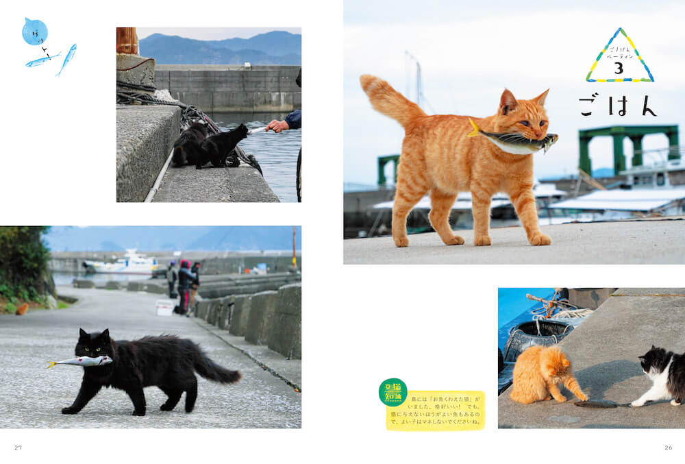 魚をくわえる島猫の写真 by 写真集『日本の島のごきげんな猫』
