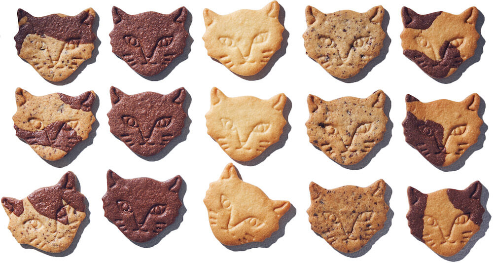 坂本美雨×前田ひさえ×フェアリーケーキフェアが共同開発した猫クッキー
