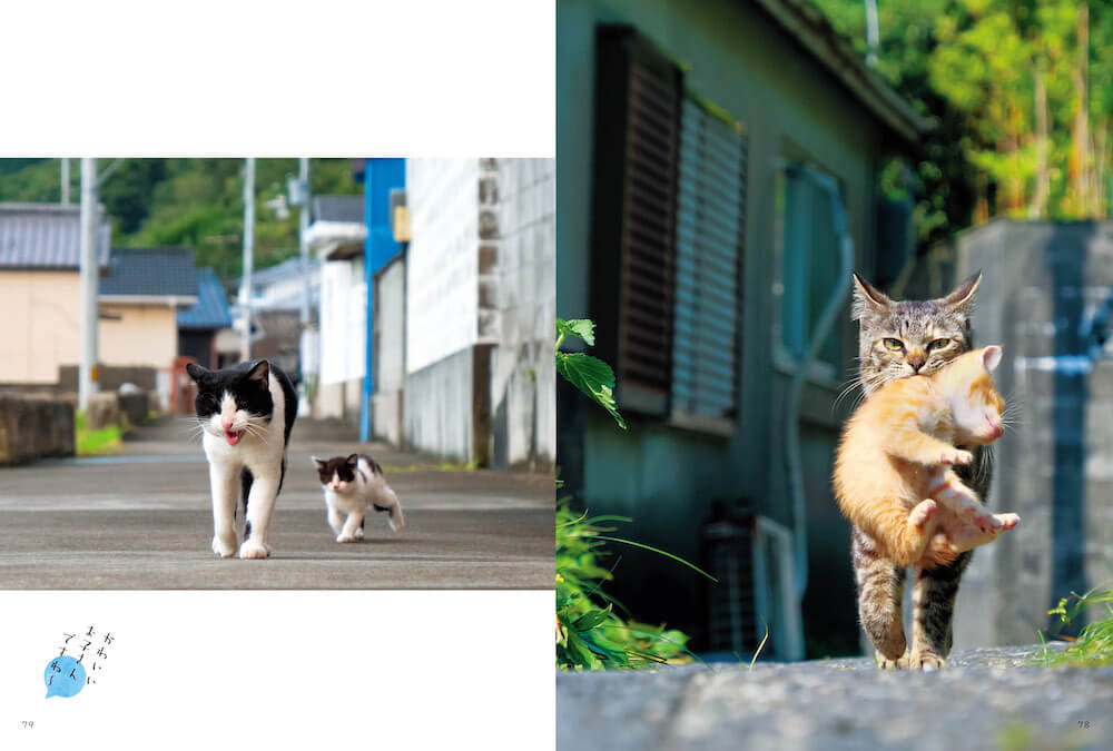 島猫の親子写真 by 写真集『日本の島のごきげんな猫』