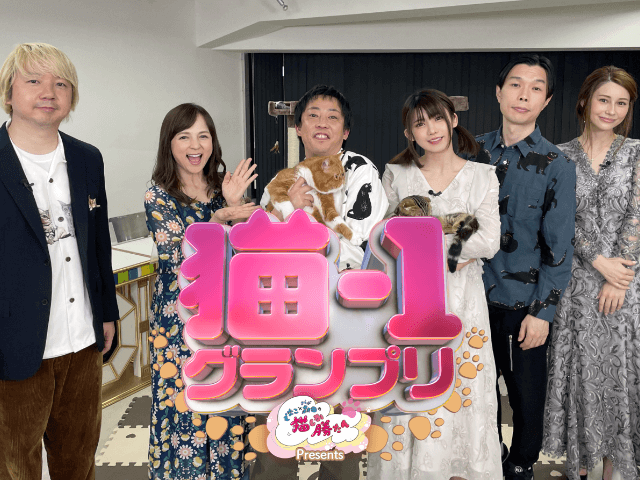 タレント・お笑い芸人 neko タレント・お笑い芸人 neko ねこ (@nekonekoitachi) / X