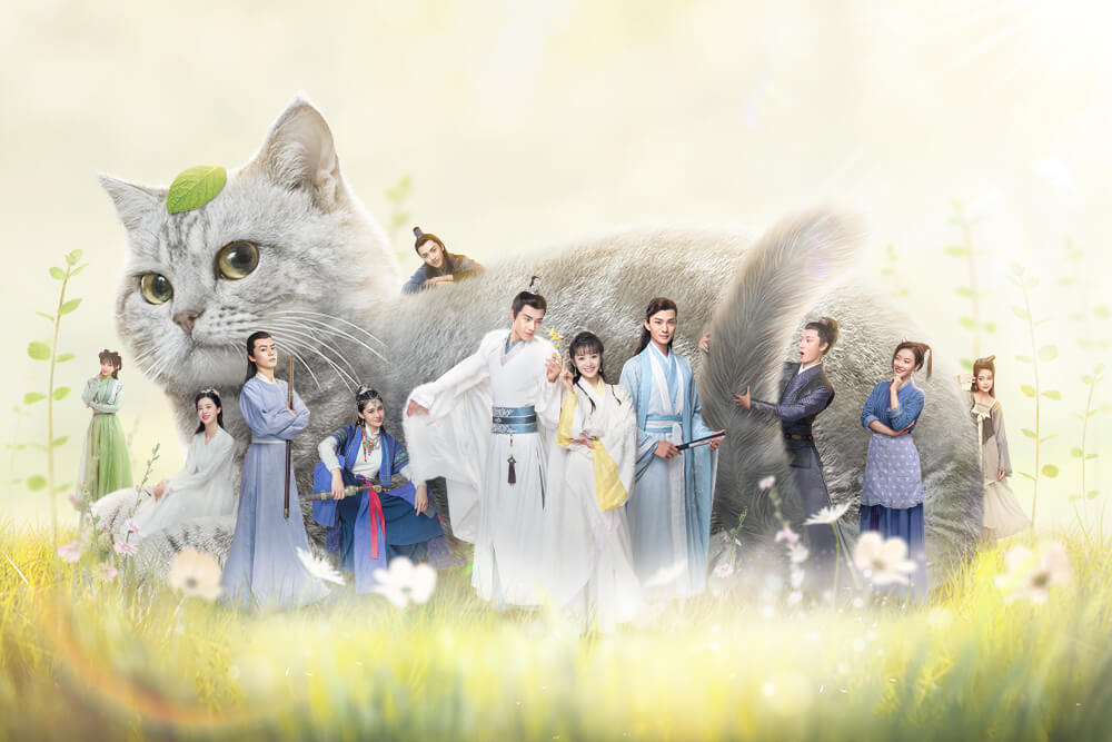 中国ドラマ『星から来た猫将軍』のメインビジュアル