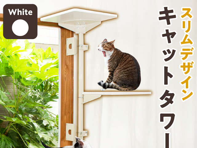 業界初！窓枠に取り付けるタイプのキャットタワー「ねこゴロン」が登場、床を使わないので省スペース | Cat Press（キャットプレス）