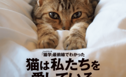 週刊朝日が5年連続で「ネコ特集号」を刊行！岩合さんの愛猫＆ダレノガレ明美のインタビューも収録