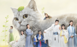 人間に憑依した猫の奇想天外なストーリーを描いた中国ドラマ『星から来た猫将軍』日本で放送開始