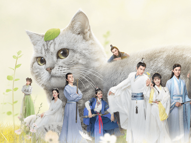 人間に憑依した猫の奇想天外なストーリーを描いた中国ドラマ 星から来た猫将軍 日本で放送開始 Cat Press
