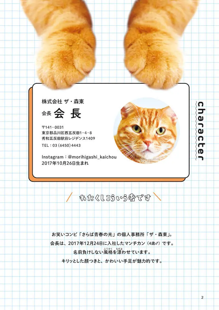 芸能事務所で暮らす猫がニャンと初の写真集を発売！『さらば青春の光の会長はねこである』 | Cat Press（キャットプレス）