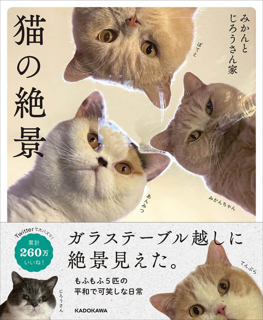 5匹のブリティッシュショートヘアと暮らしている「みかんとじろうさん家」のフォトブック「猫の絶景」表紙イメージ
