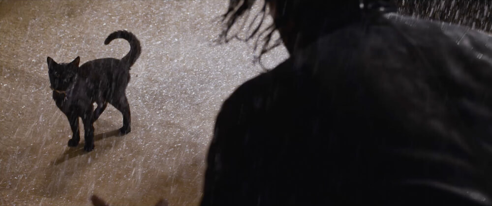 キアヌ・リーブス演じるネオの前に現れた黒猫（デジャヴ） by 映画『マトリックス レザレクションズ』