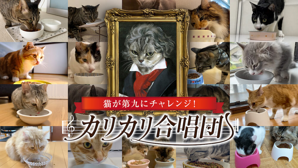猫のカリカリを食べる音でベートーヴェンの交響曲第9番を表現する「カリカリ合唱団」