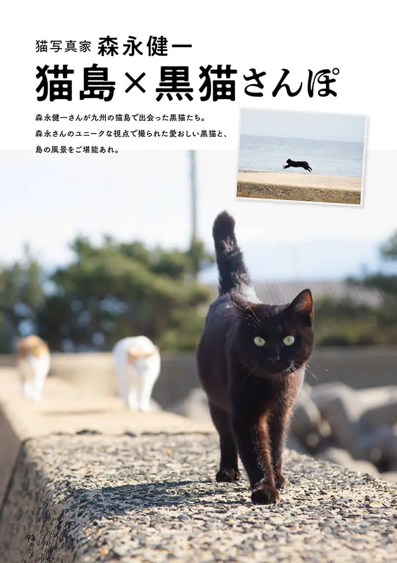 月刊黒猫様　村田森さん　玉露茶器 黒猫まみれ 黒もふ特盛号 | necoya books web store