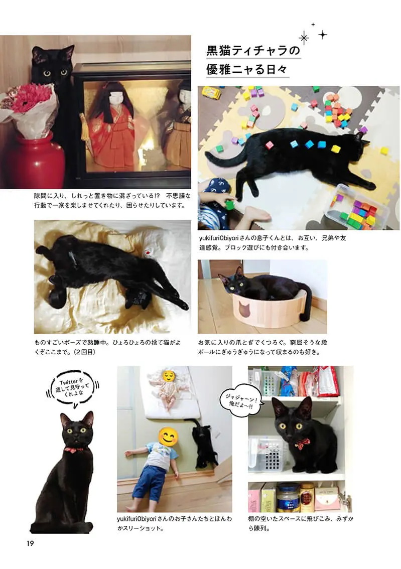 個性的な黒猫たちが大集合！一冊まるごと黒猫の魅力を紹介する