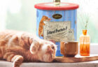 イタリアの老舗チョコメーカーから「猫の日コレクション」が登場！7種類の商品パッケージは猫まみれ