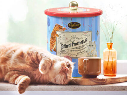 イタリアの老舗チョコメーカーから「猫の日コレクション」が登場！7種類の商品パッケージは猫まみれ