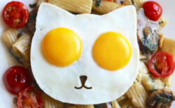 卵の黄身がニャンと猫の目に…！ねこ型の目玉焼きが作れる「エッグ モールド キャット」