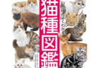 カワイイ！を通じてネコへの理解も深まる書籍『いちばんよくわかる猫種図鑑 日本と世界の60種』