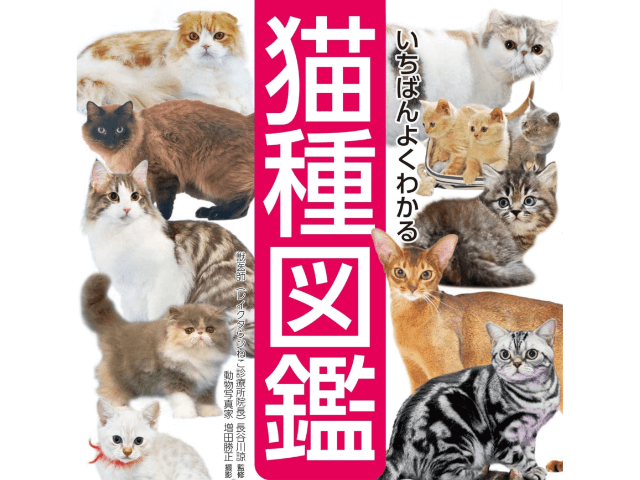 カワイイ！を通じてネコへの理解も深まる書籍『いちばんよくわかる猫種図鑑 日本と世界の60種』 | Cat Press（キャットプレス）