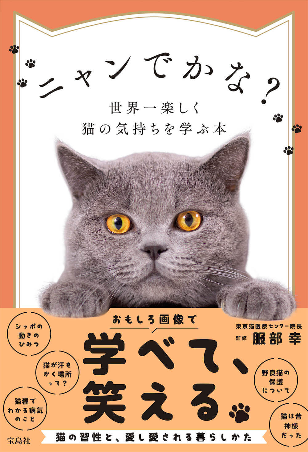 「ニャンでかな? 世界一楽しく猫の気持ちを学ぶ本」表紙イメージ