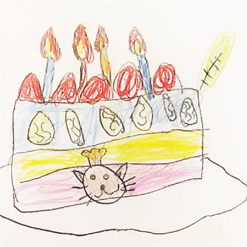 パッケージデザインに採用された兵庫県在住の6歳の子供が描いた猫ケーキのイラスト