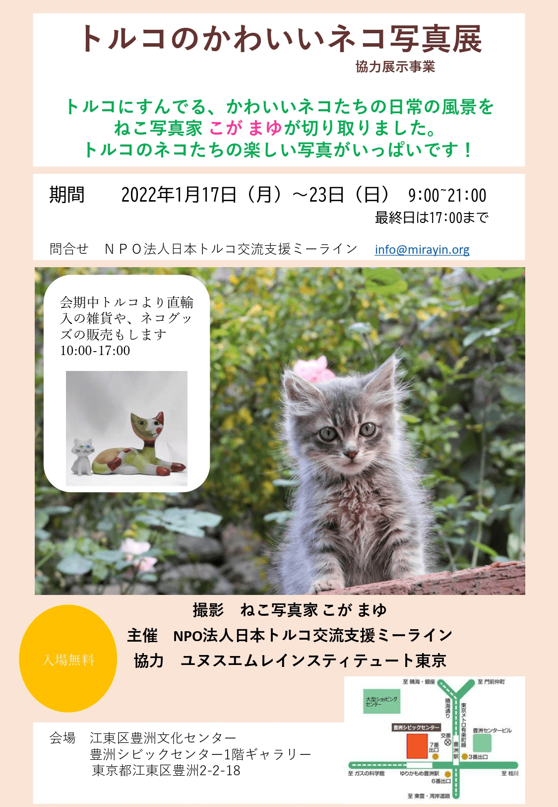 トルコのかわいいネコ写真展 in 豊洲シビックセンター