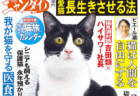 ムツゴロウさんや貴島明日香さんの猫インタビューも！日刊ゲンダイのネコ特集号が2/15に発売