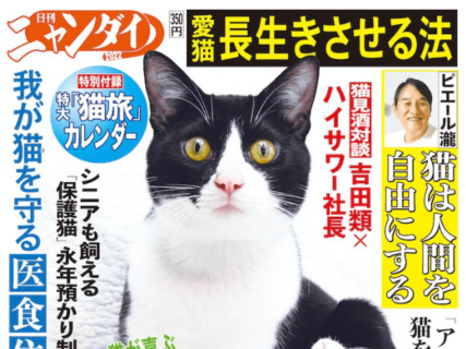 ムツゴロウさんや貴島明日香さんの猫インタビューも！日刊ゲンダイのネコ特集号が2/15に発売
