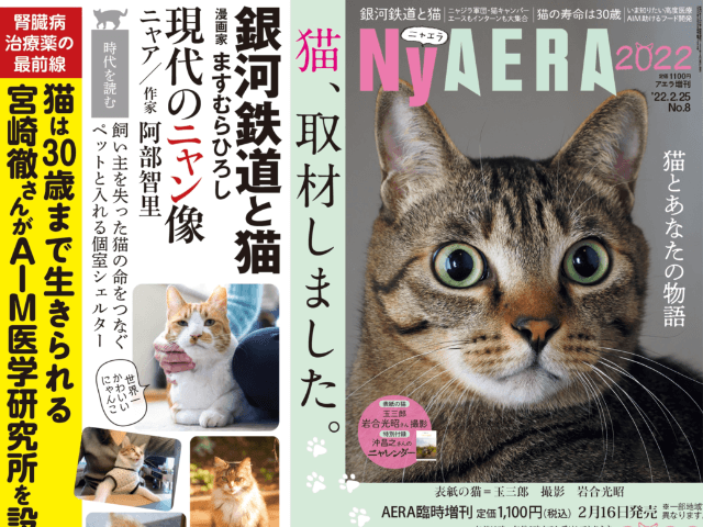 丸ごと猫雑誌「ニャエラ」の第7弾が発売！表紙は岩合ネコ＆猫の寿命を