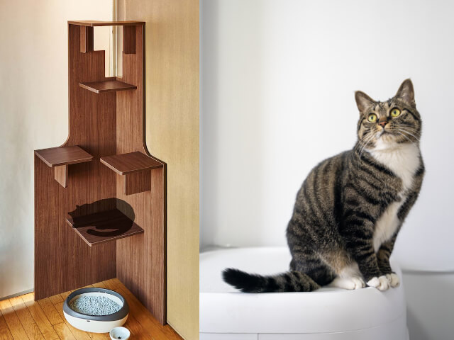 イちゃん様 キャットタワー キャットツリー カリモク（登頂！編