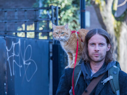 猫の替え歌でロンドンの街が盛り上がる♪ 公開直前のねこ映画「ボブという名の猫2」本編映像を初公開