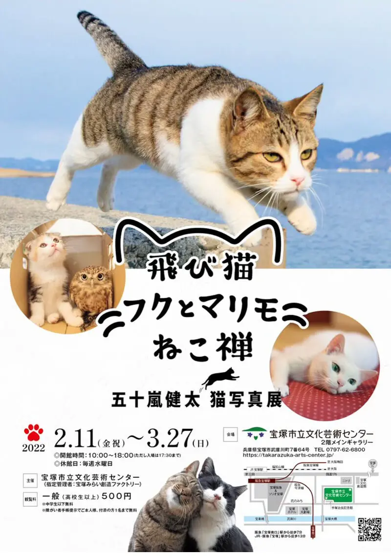 大迫力のネコ写真が400点も展示！ねこカメラマン・五十嵐健太氏