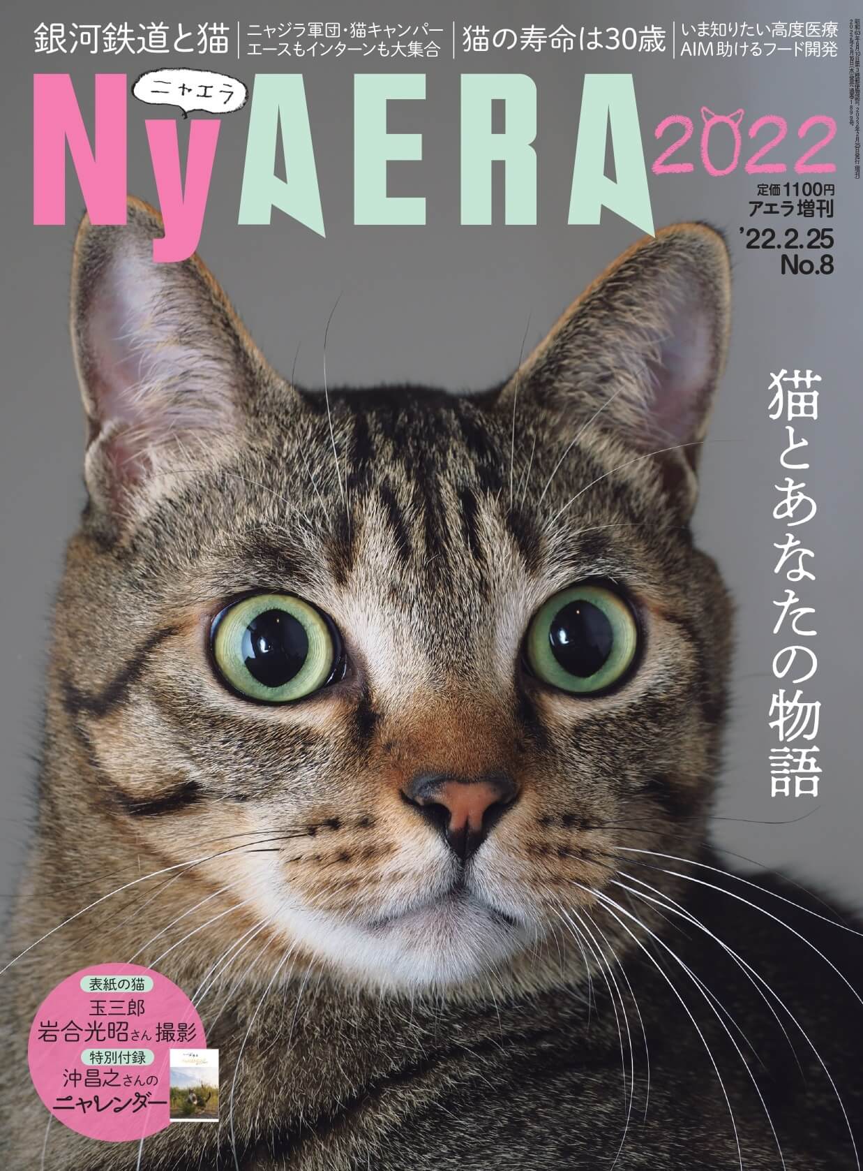 猫雑誌「NyAERA(ニャエラ) AERA増刊 2022 」表紙イメージ
