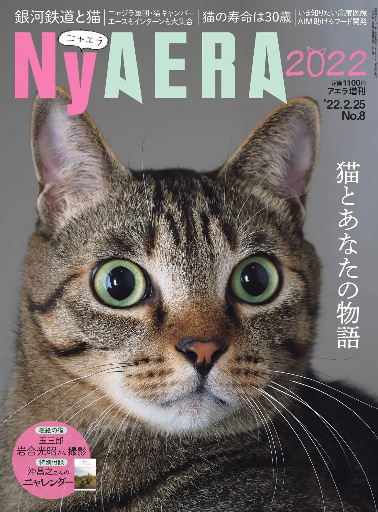 丸ごと猫雑誌「ニャエラ」の第7弾が発売！表紙は岩合ネコ＆猫の
