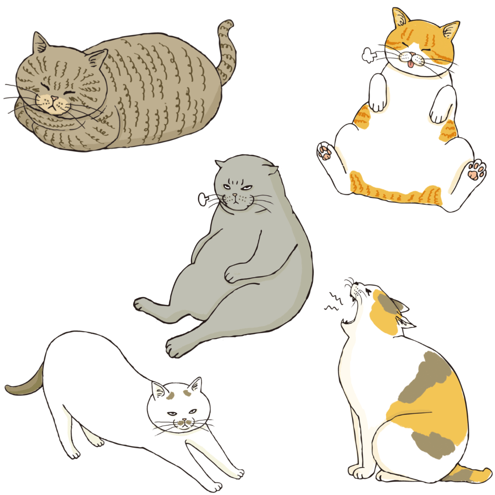 「にゃんだフルスイーツ」の描き下ろしブサ猫イラスト