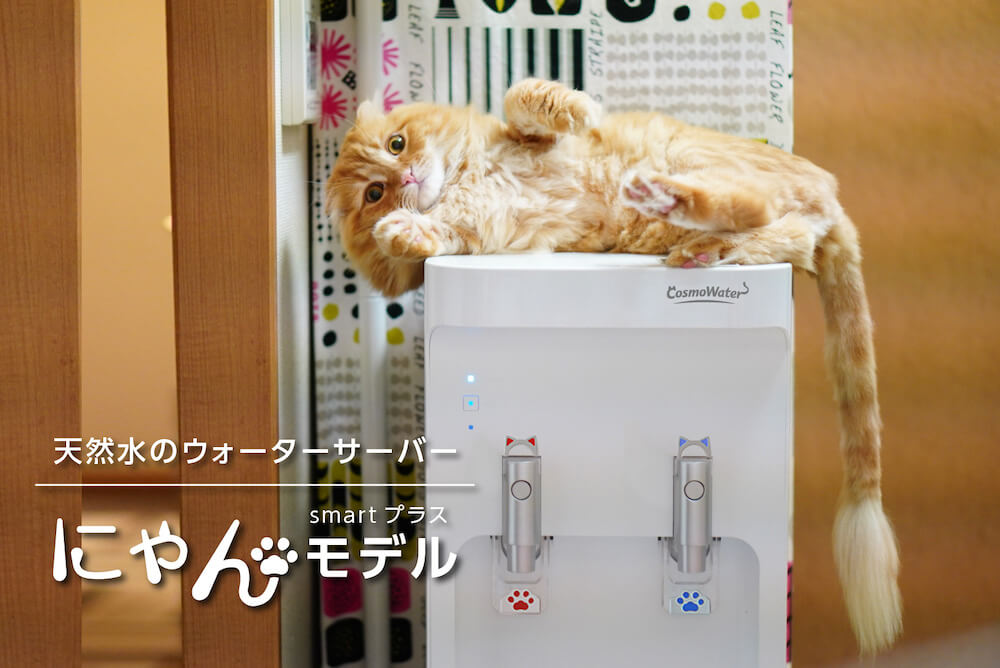 ウォーターサーバーsmartプラスの猫モチーフデザイン版「にゃんモデル」メインビジュアル