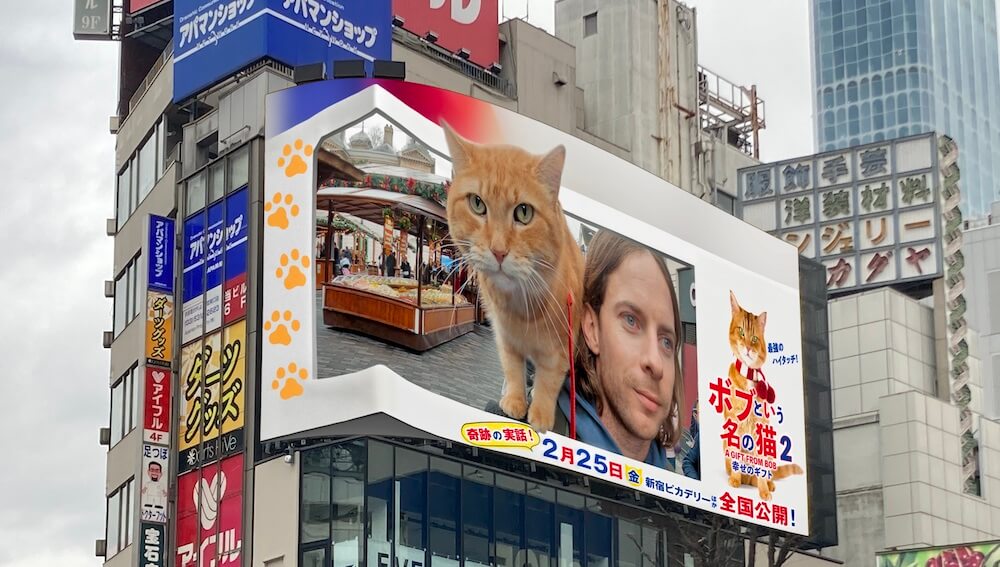 街頭ビジョン「クロス新宿」に映し出された映画『ボブという名の猫2 幸せのギフト』の予告編映像