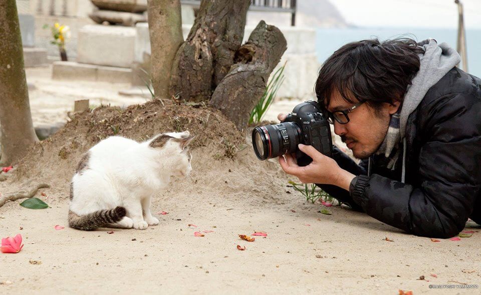うつ伏せで猫に接近して撮影する猫写真家の沖昌之さん