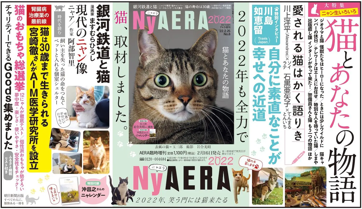 丸ごと猫雑誌「ニャエラ」の第7弾が発売！表紙は岩合ネコ＆猫の