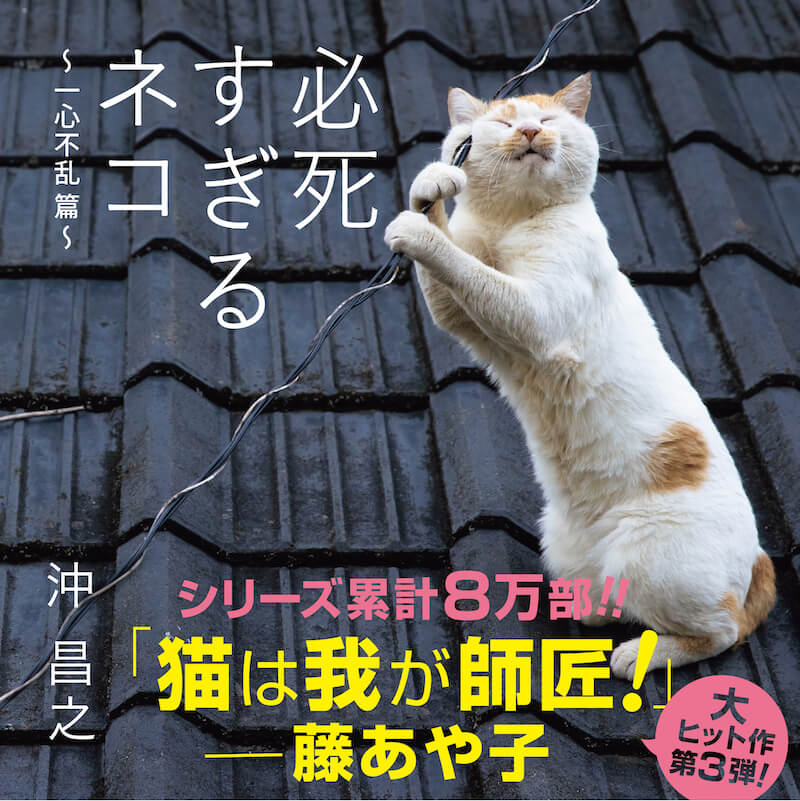 沖昌之さんの猫写真集「必死すぎるネコ～一心不乱篇～」表紙イメージ