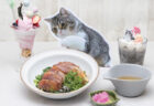ギネス世界記録に認定された猫「もちまる」のコラボカフェが登場！可愛いフードやデザートが充実