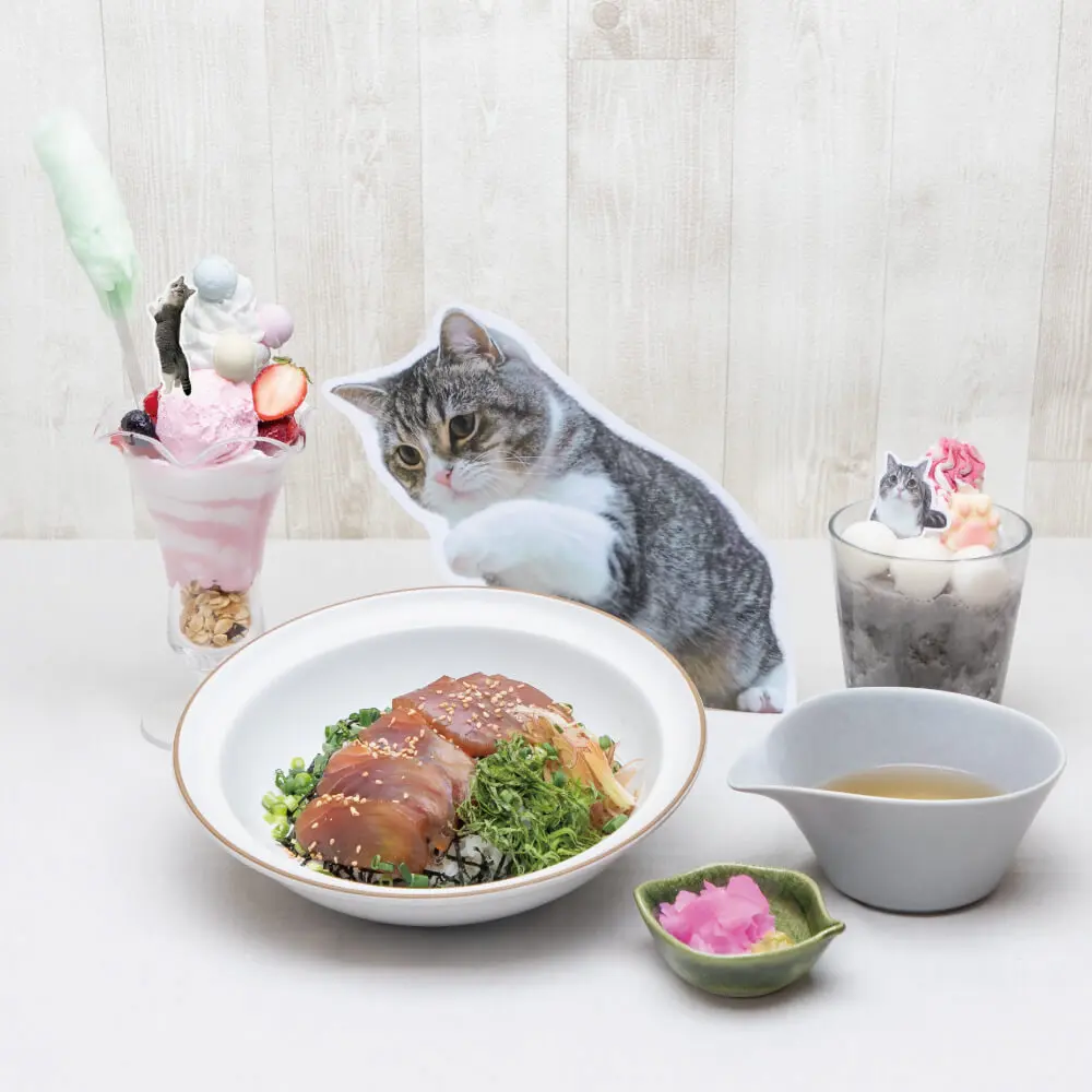 ギネス世界記録に認定された猫「もちまる」のコラボカフェが登場