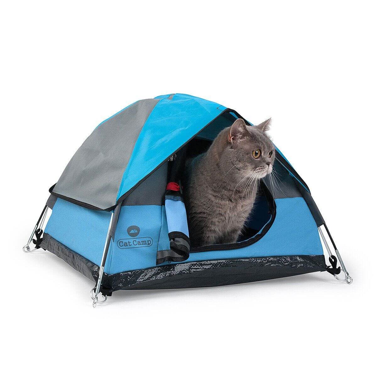 猫用の本格的なテント「Cat Tent」から顔を出す猫 by Cat Camp