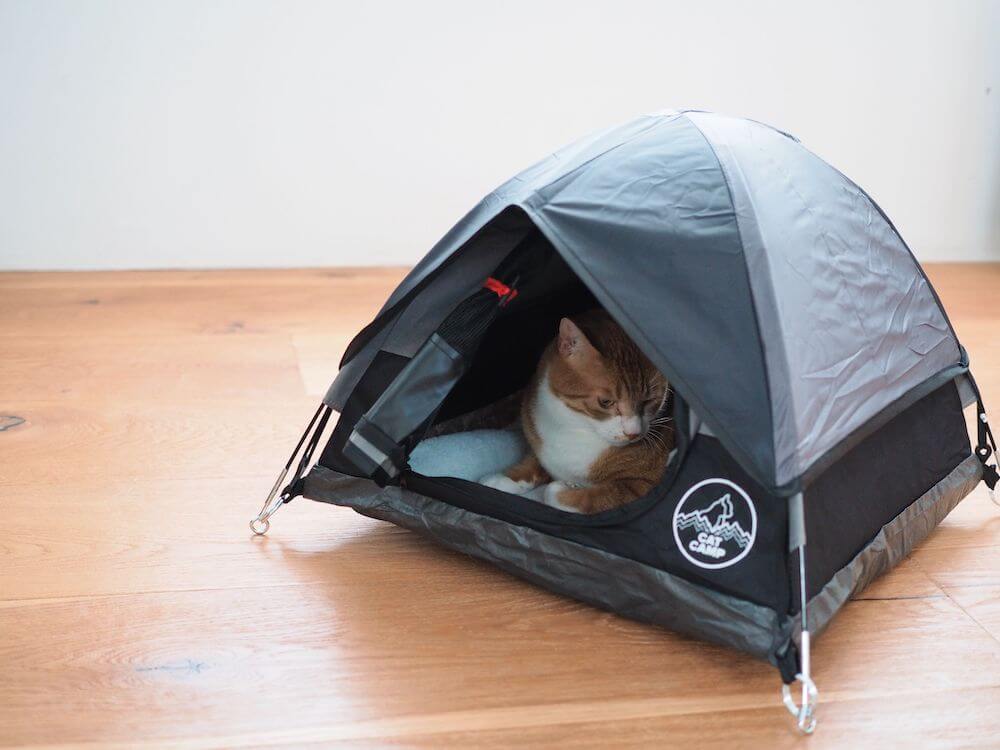 猫用サイズ本格的なテント「Cat Tent」使用イメージ by Cat Camp