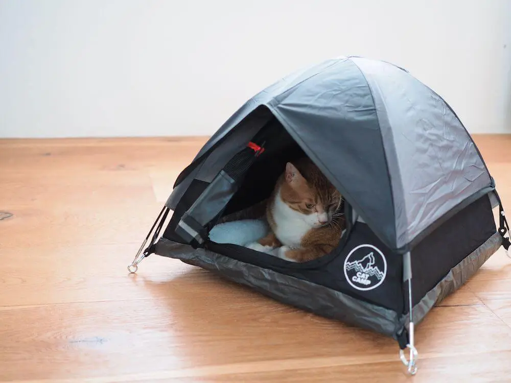 猫もお家にいながらキャンプを楽しめる♪ 猫用サイズの本格的なテント