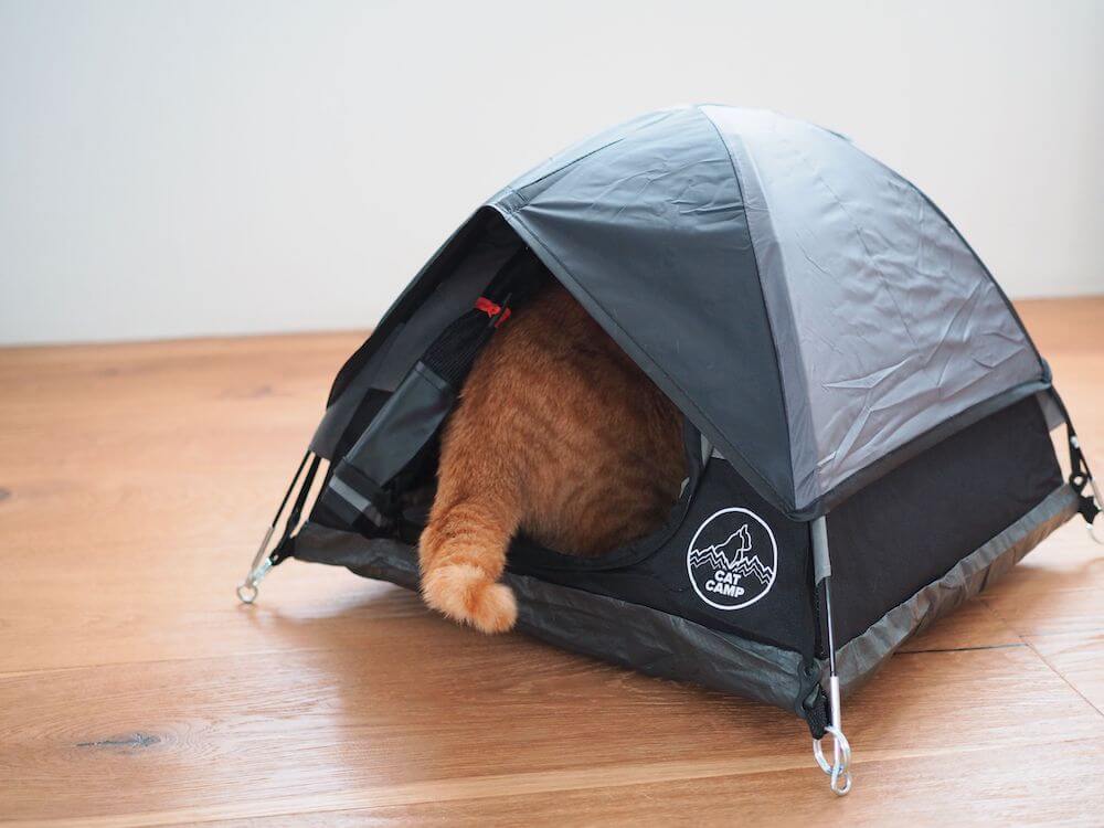 猫用サイズ本格的なテント「Cat Tent」でくつろぐ猫 by Cat Camp