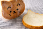 ホテル日航大阪でネコ型食パンの定期販売が開始！北海道産のバターをたっぷり使った贅沢な味わいニャ