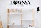 猫家具専用ブランドLOWNYA（ロウニャ）が誕生、猫も人も楽しめる5種類の新商品をリリース