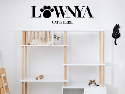 猫家具専用ブランドLOWNYA（ロウニャ）が誕生、猫も人も楽しめる5種類の新商品をリリース