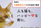 奈良市が犬猫の殺処分ゼロを3年連続で達成、ふるさと納税を活用した新たな取り組みも開始
