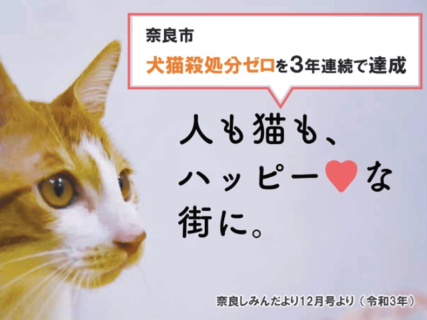 奈良市が犬猫の殺処分ゼロを3年連続で達成、ふるさと納税を活用した新たな取り組みも開始