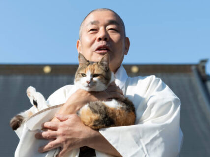 住職やおかみの言葉と、猫たちの写真に癒やされる！那須の長楽寺から新刊『6匹の猫と住職』が登場
