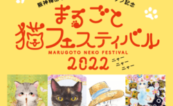 3年ぶりに人気のねこイベントが復活！阪神梅田本店で「まるごと猫フェスティバル」が開催